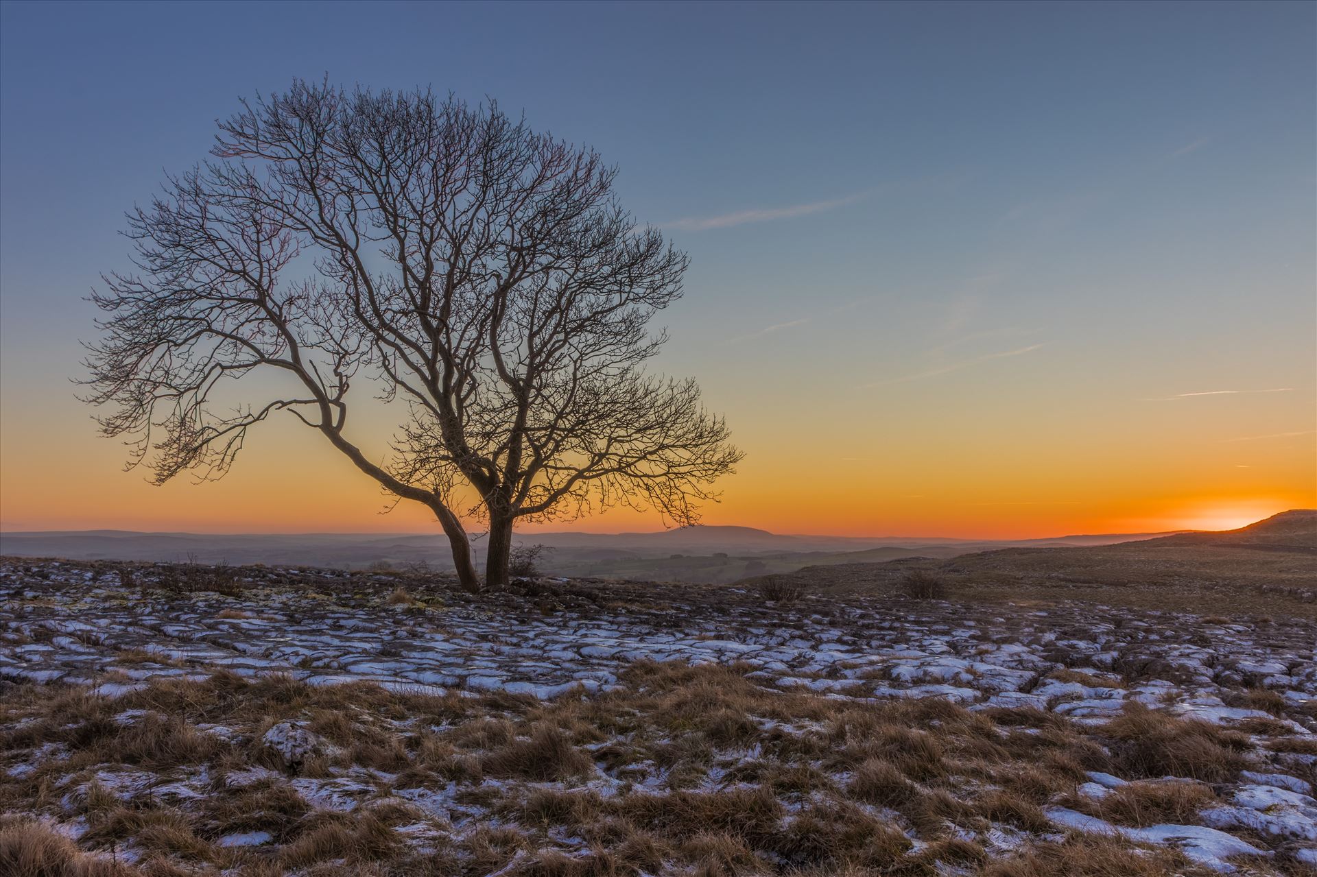 The Lone Tree at Malham Amazing sunset shot of the famous Lone Tree at Malham in the Yorkshire Dales in North Yorkshire with frost on the limestone pavement.  by Tony Keogh Photography