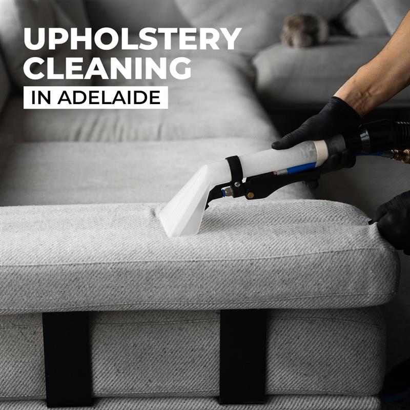 upholstery cleaning (3).jpg  by delightcarpetcare