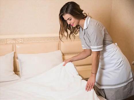 Delight Carpet Care, one of the most professional mattress cleaning services in Adelaide functions with licensed professionals. Visit: https://delightcarpetcare.com.au/mattress-cleaning/