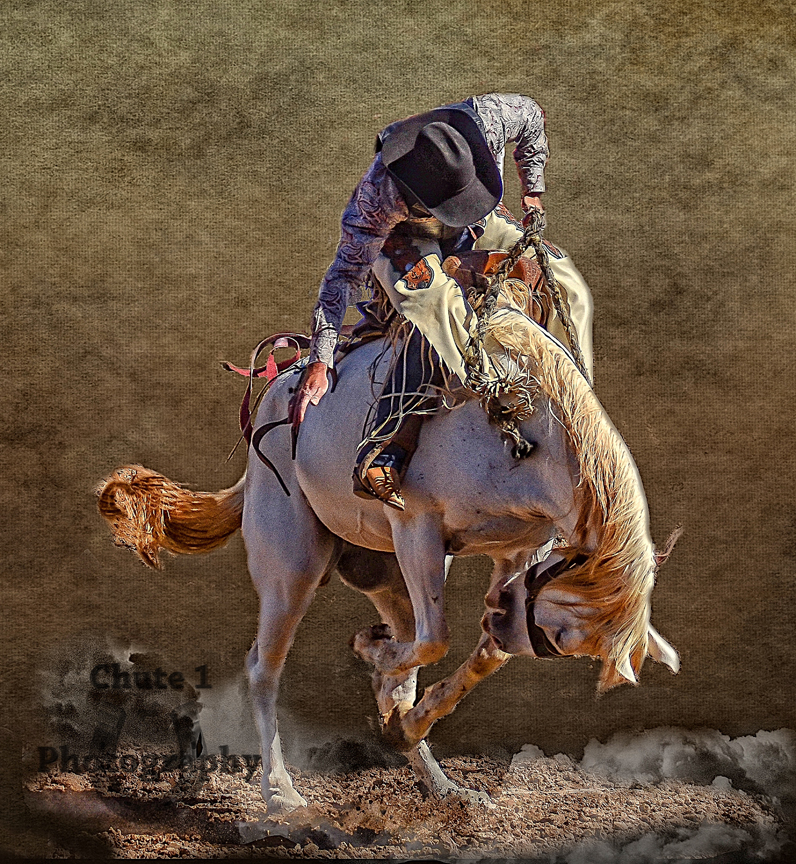 Bronc 14 copy fb.jpg undefined by WPC-340