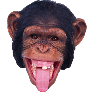 Monkey-PNG-Image-90371.png  by marsham1