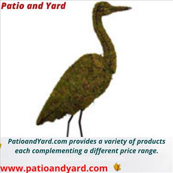 We do not supply plants with topiaries. On request, we will get our Topiary wire frames wrapped in clear mini lights for Holiday or Event decorating. For further details, go through our website: www.patioandyard.com