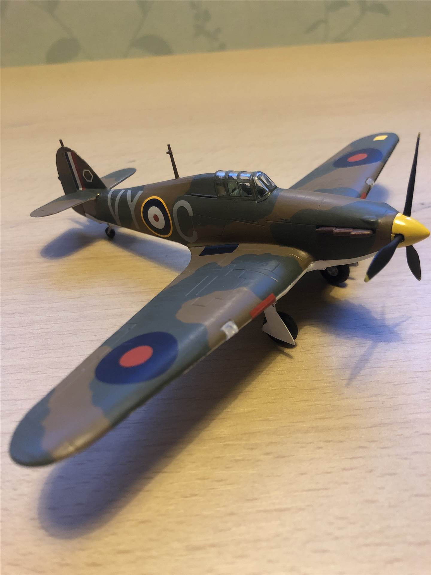 5A8AED84-3DE6-405D-90DC-D9A1DF23B162.jpeg  by Ashley95