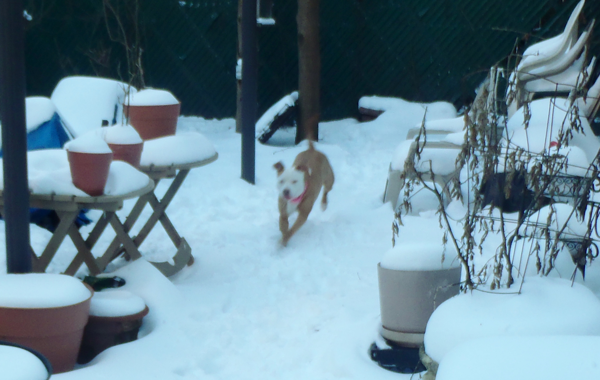 PC280052.JPG  by hpgtowing