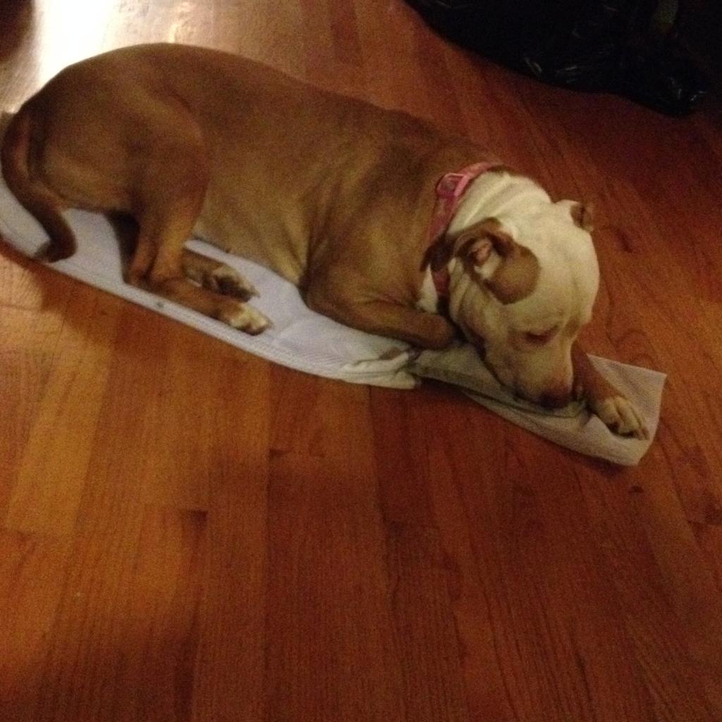 101.JPG  by hpgtowing