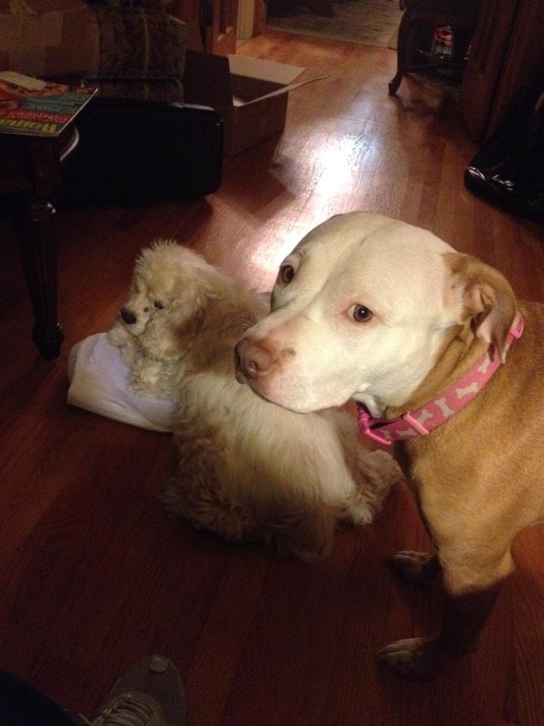 095.JPG  by hpgtowing