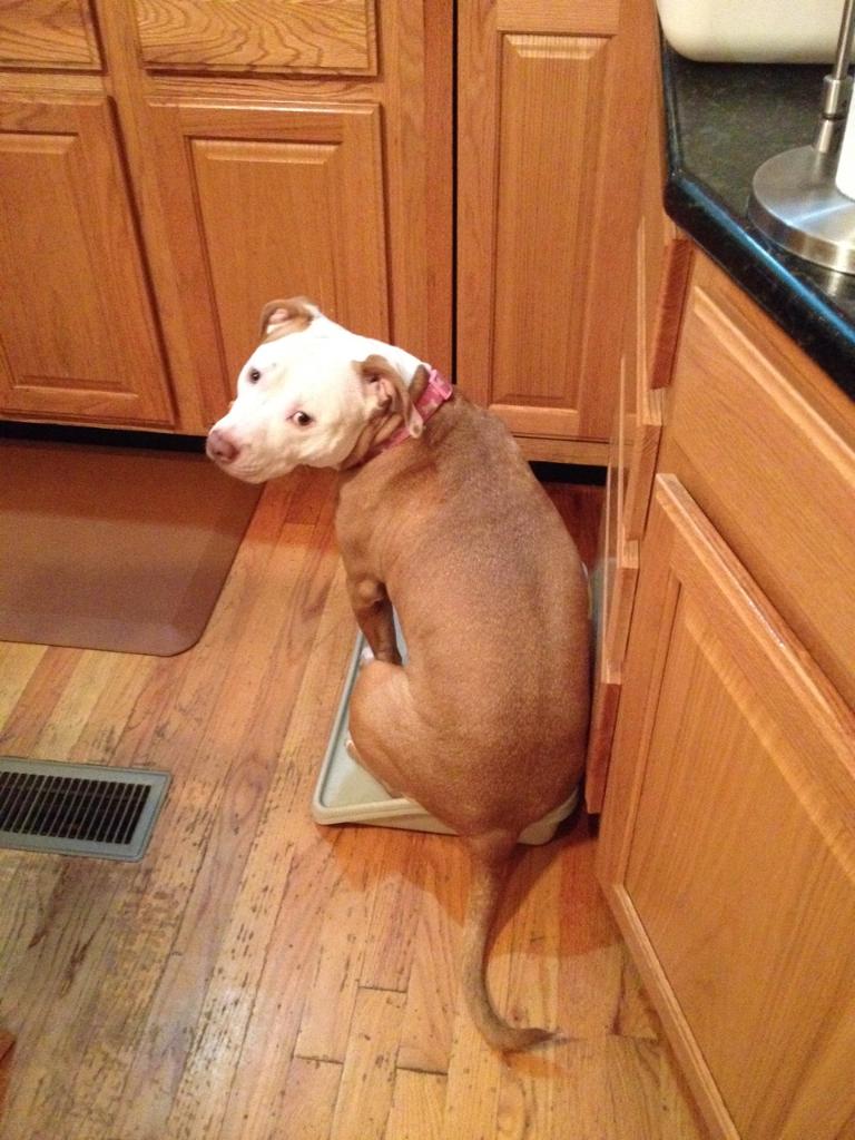 157.JPG  by hpgtowing