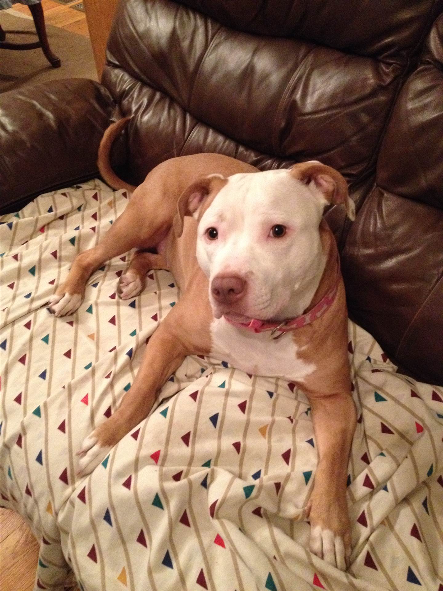 068.JPG  by hpgtowing