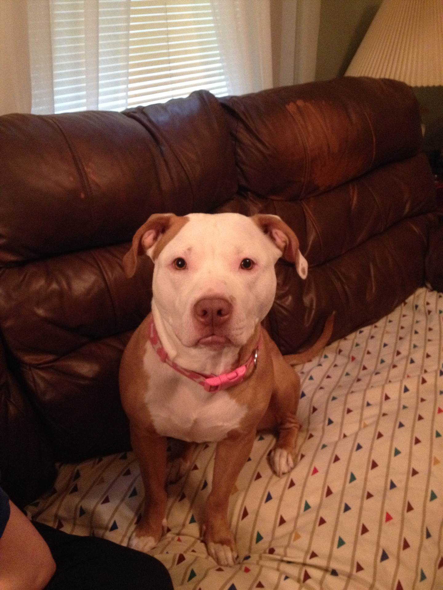 001.JPG  by hpgtowing