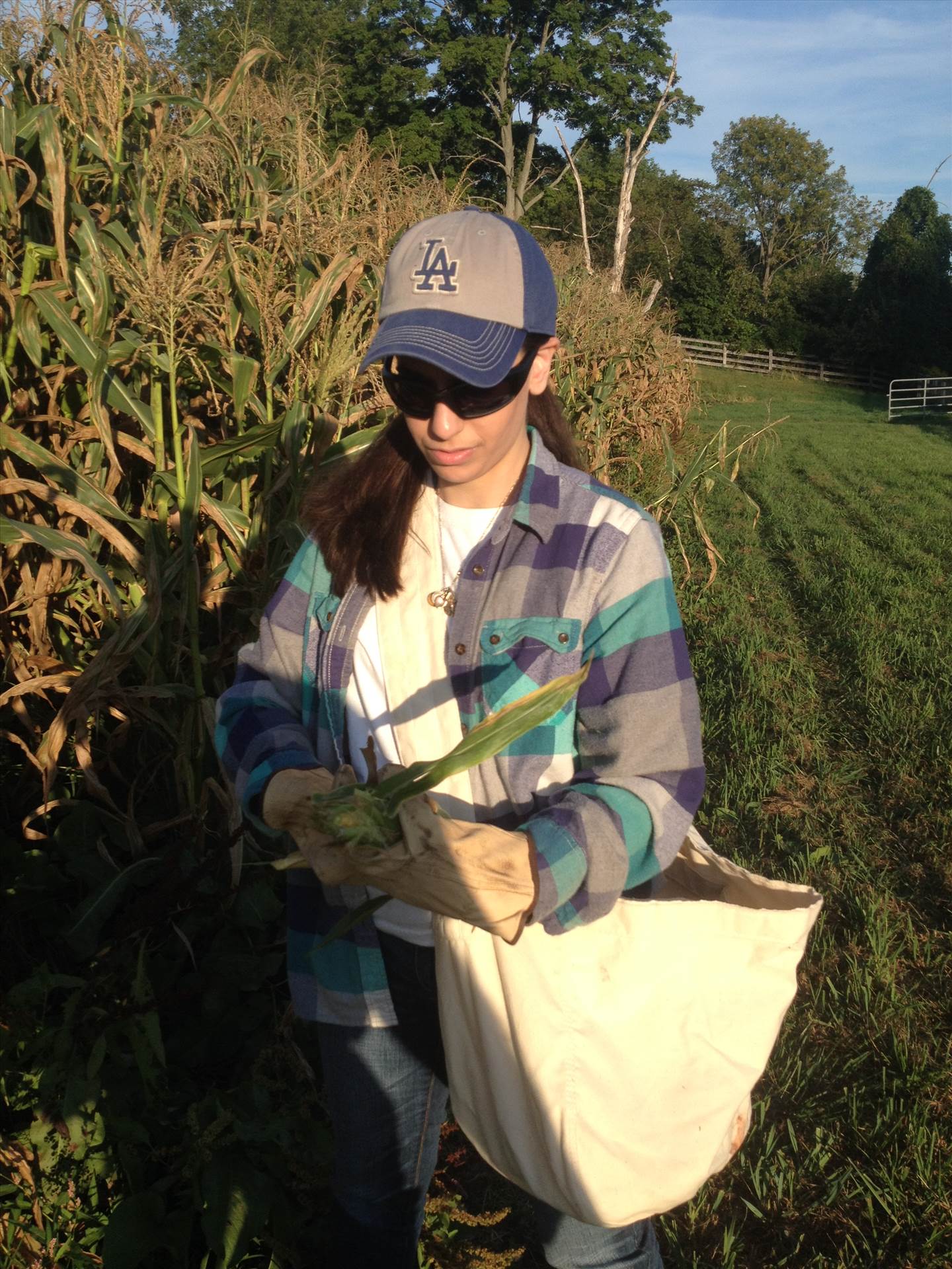 065.JPG  by hpgtowing