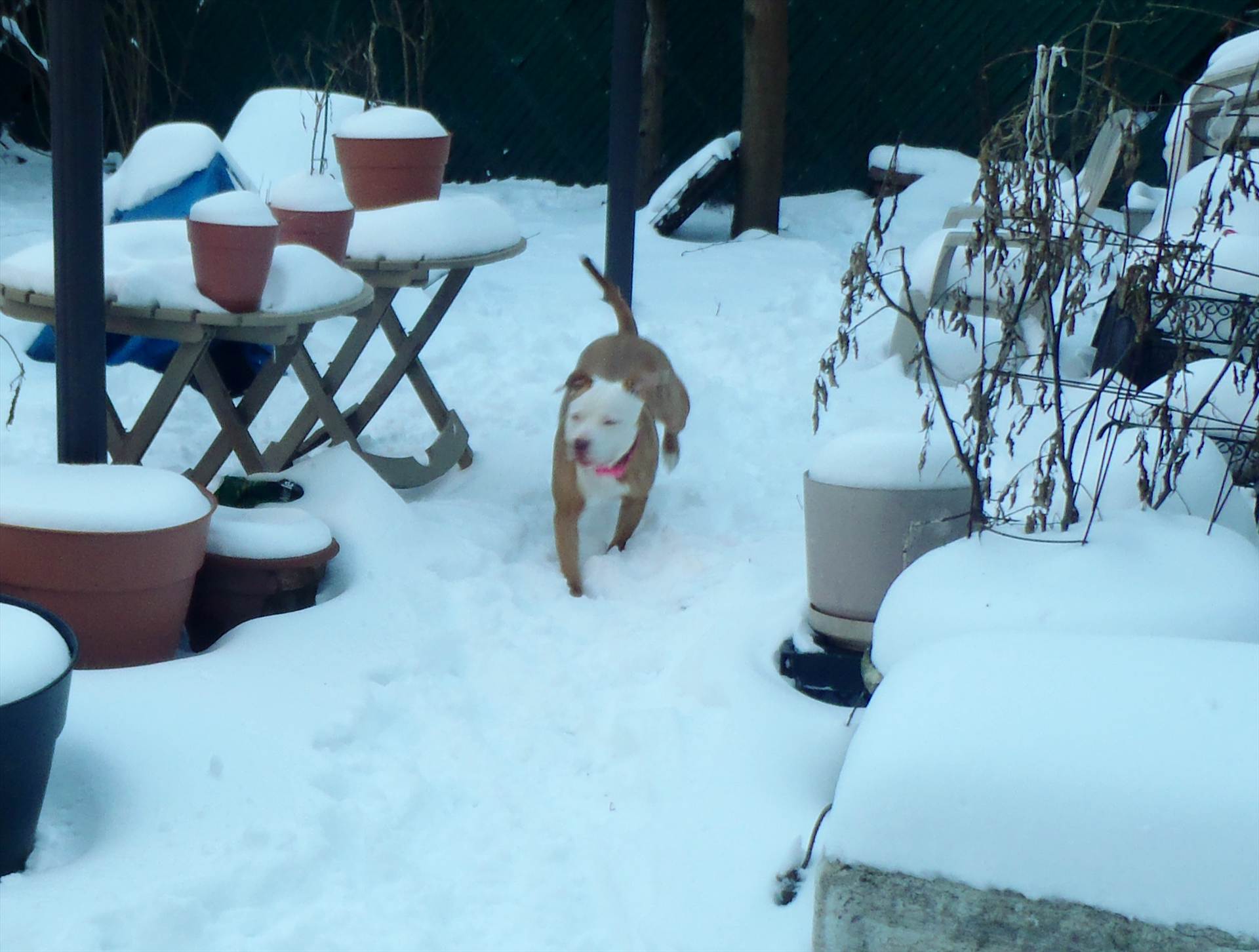 PC280055.JPG  by hpgtowing