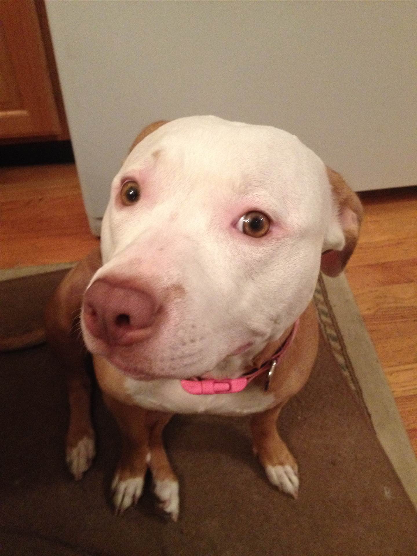 030.JPG  by hpgtowing