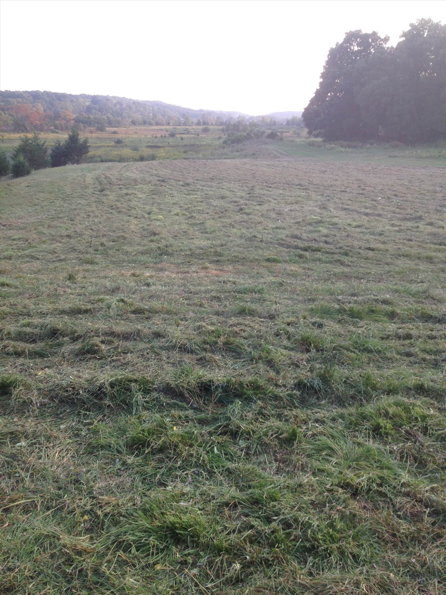 067.JPG  by hpgtowing