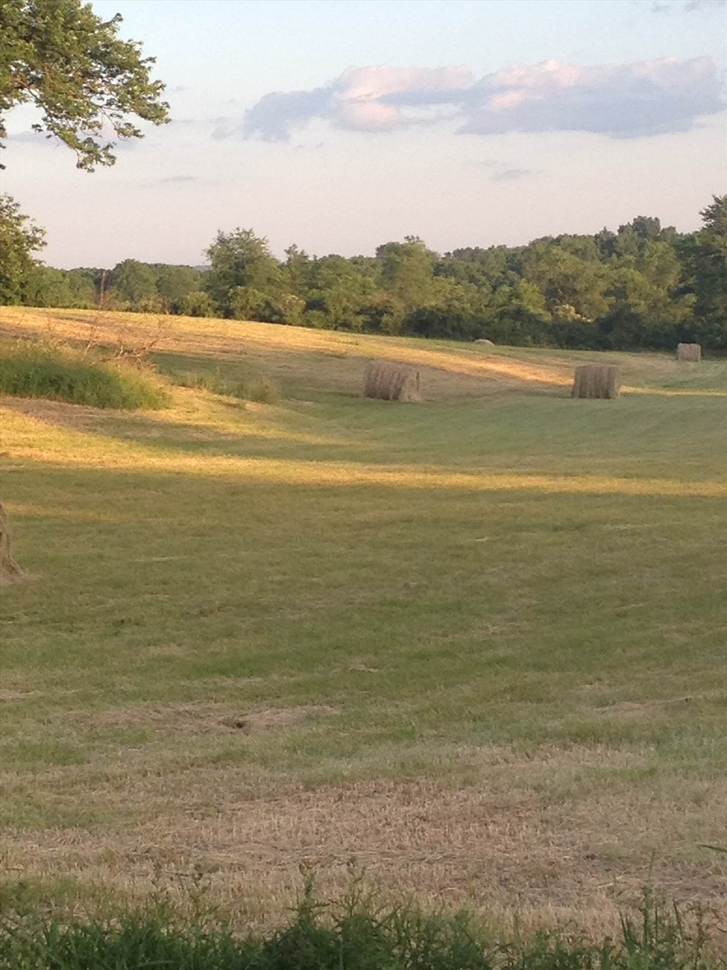 Farm 6-21-16 068.JPG  by hpgtowing