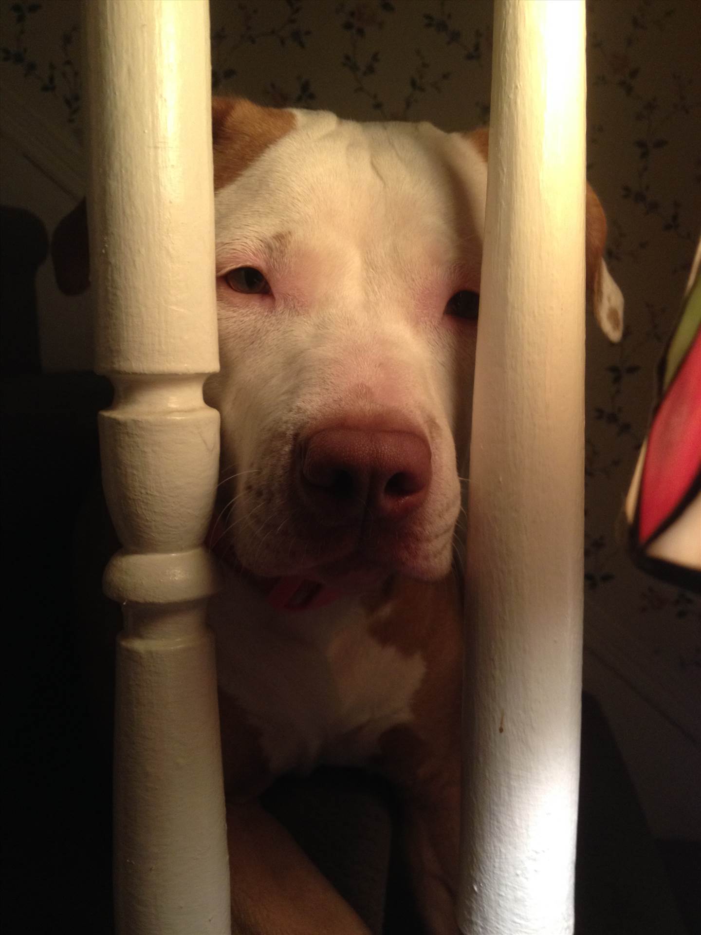 022.JPG  by hpgtowing