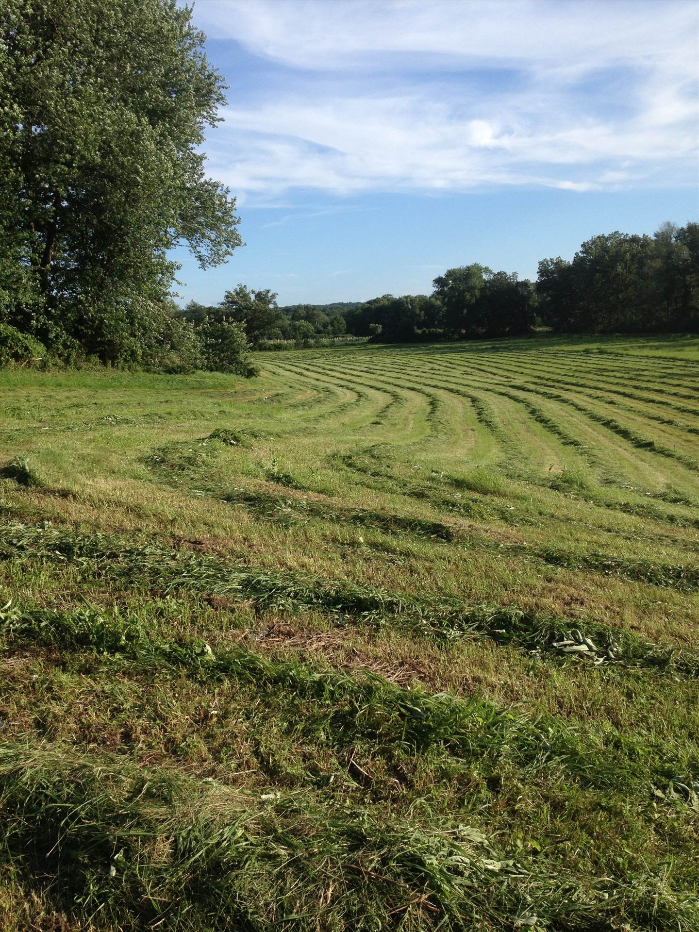 011.JPG  by hpgtowing