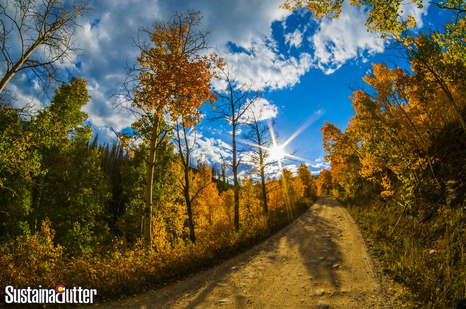 Silverthorne Road Fall Logo'd.jpg undefined by WPC-66
