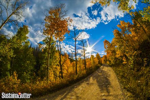 Silverthorne Road Fall Logo'd.jpg by WPC-66