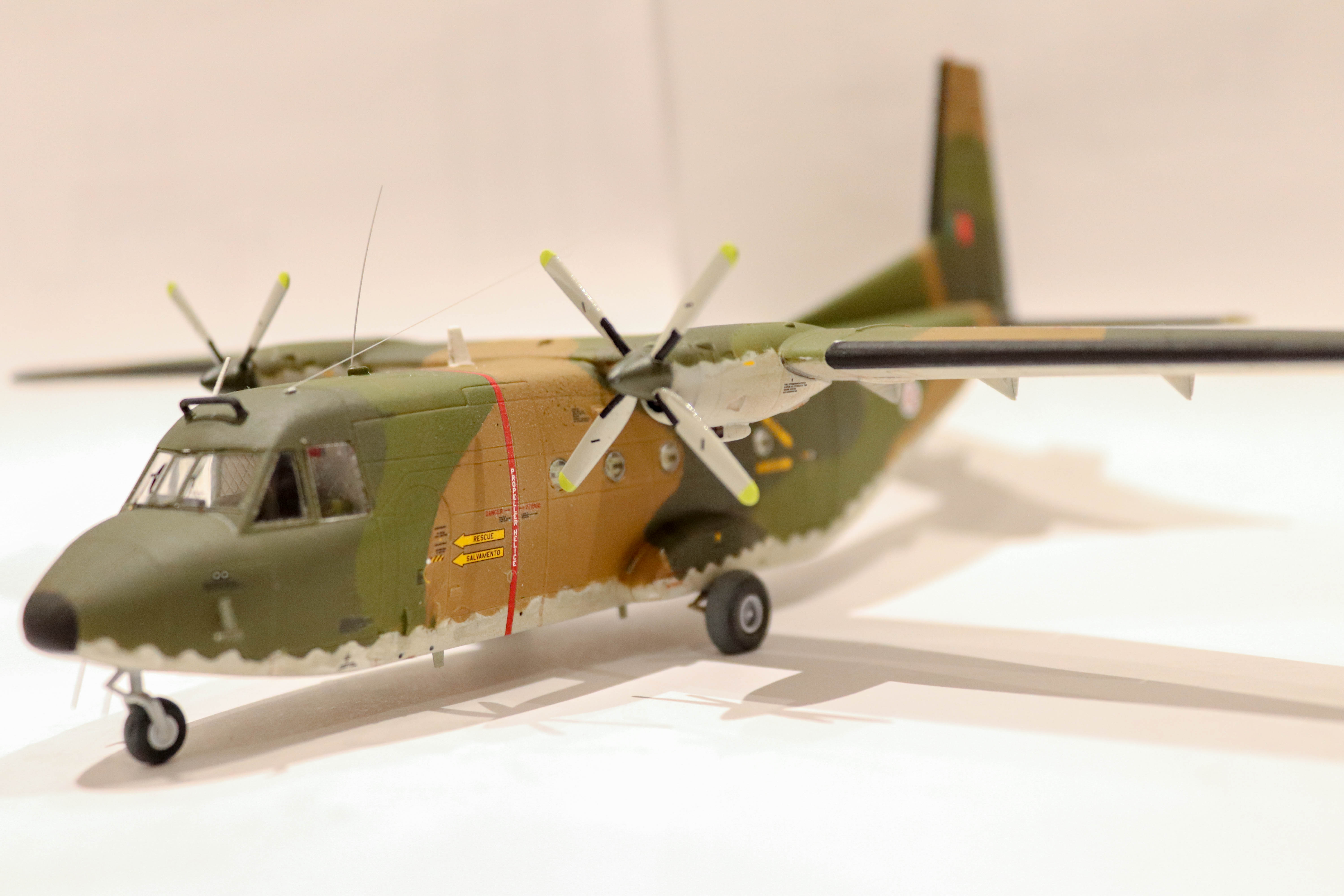 IMG_1041.JPG  by Goncalo