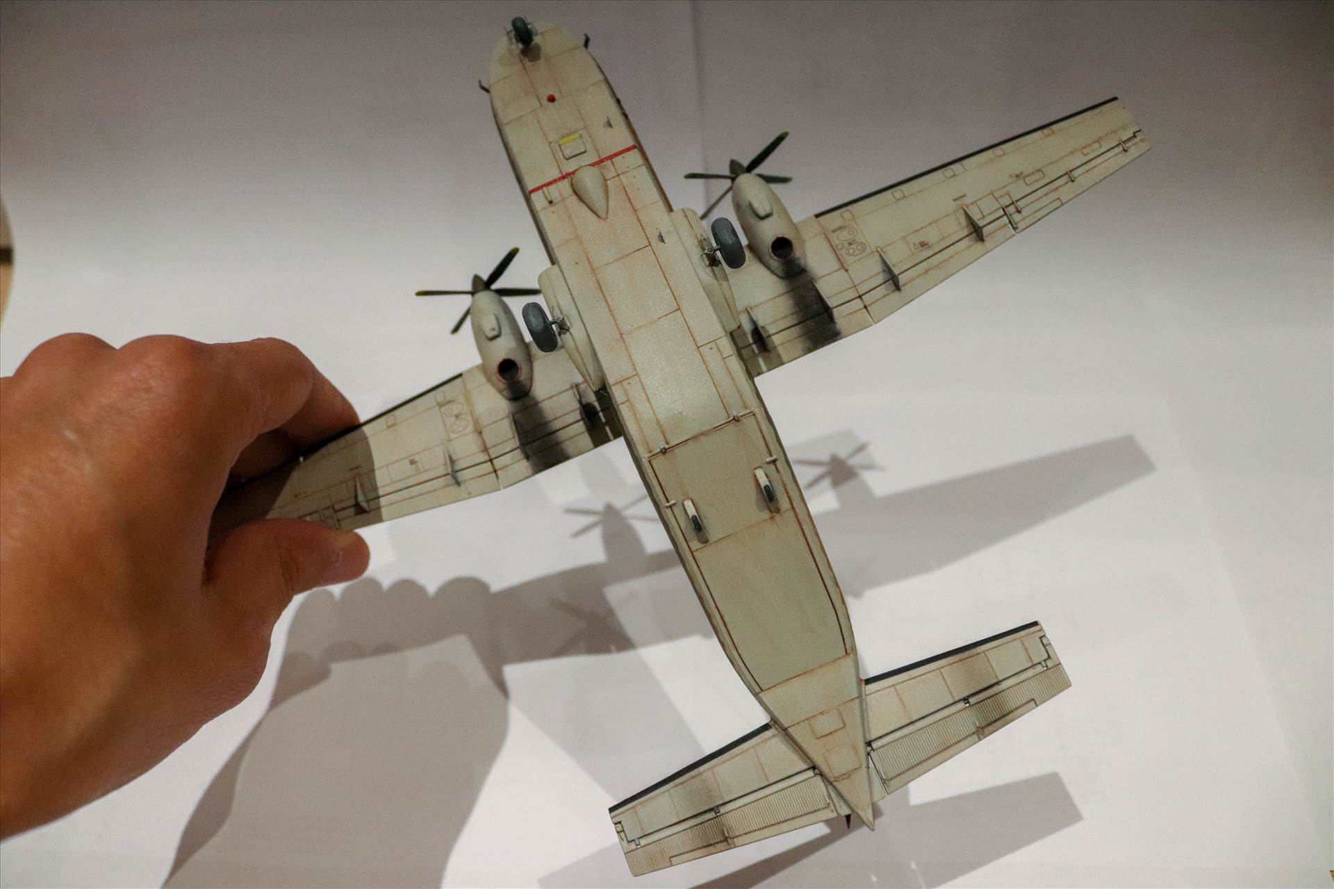 IMG_1047.JPG  by Goncalo