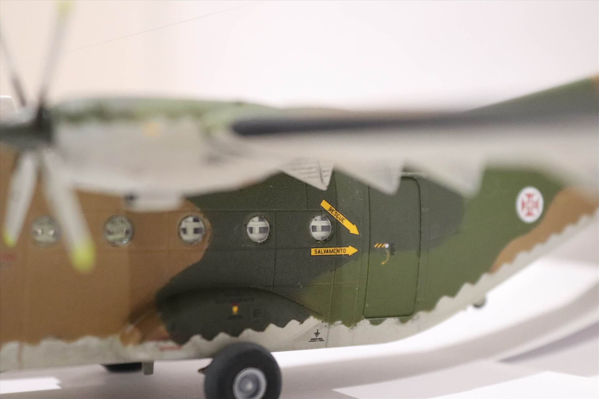 IMG_1037.JPG  by Goncalo