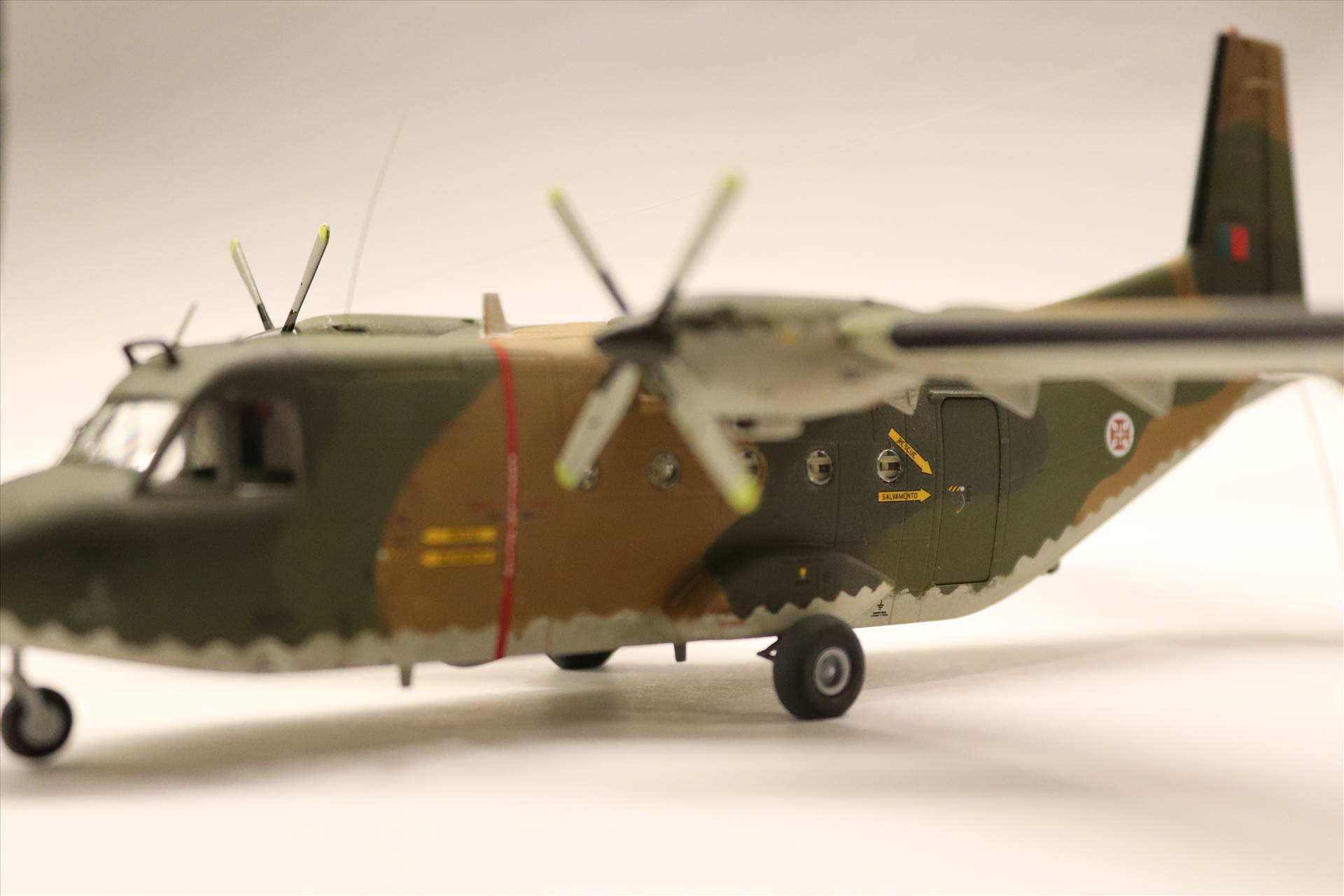 IMG_0999.JPG  by Goncalo