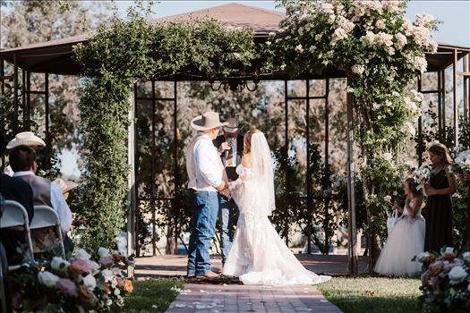 Final-1046.jpg by MrandMrsNick