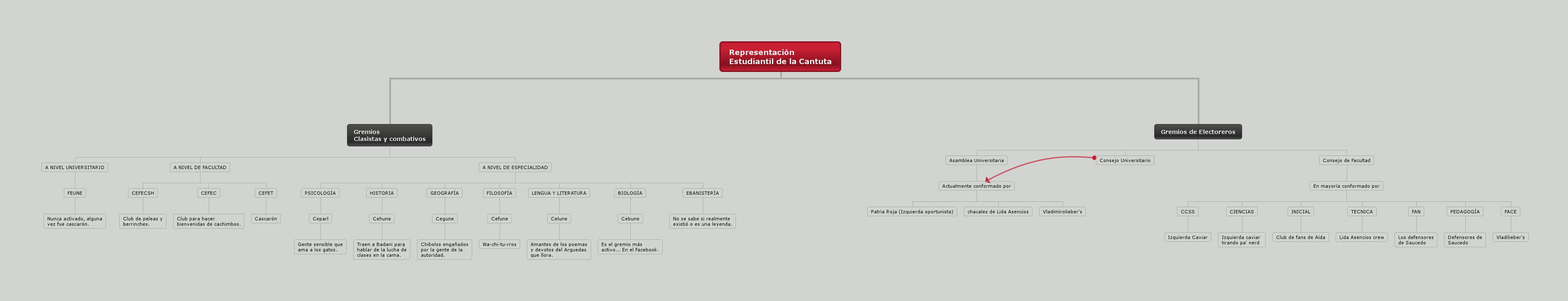 Representantes estudiantiles Manual básico para Cachimbos. by Panfleto cantuta