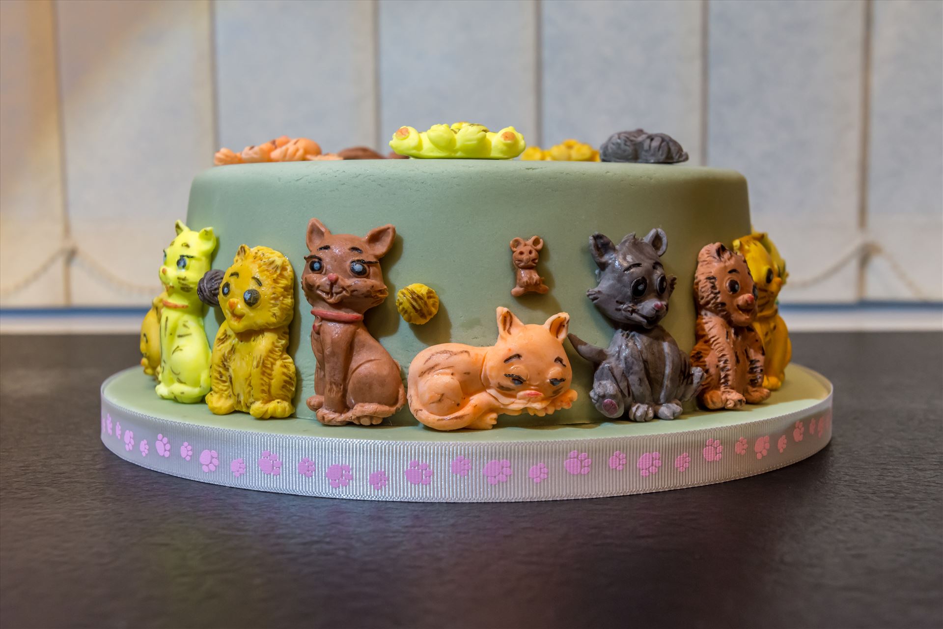 . Cat birthday cake. Chocolate fudge cake with dark chocolate ganache topped with green sugarpaste. This cake was a big hit 😍 by Alison Wonderland Bakes