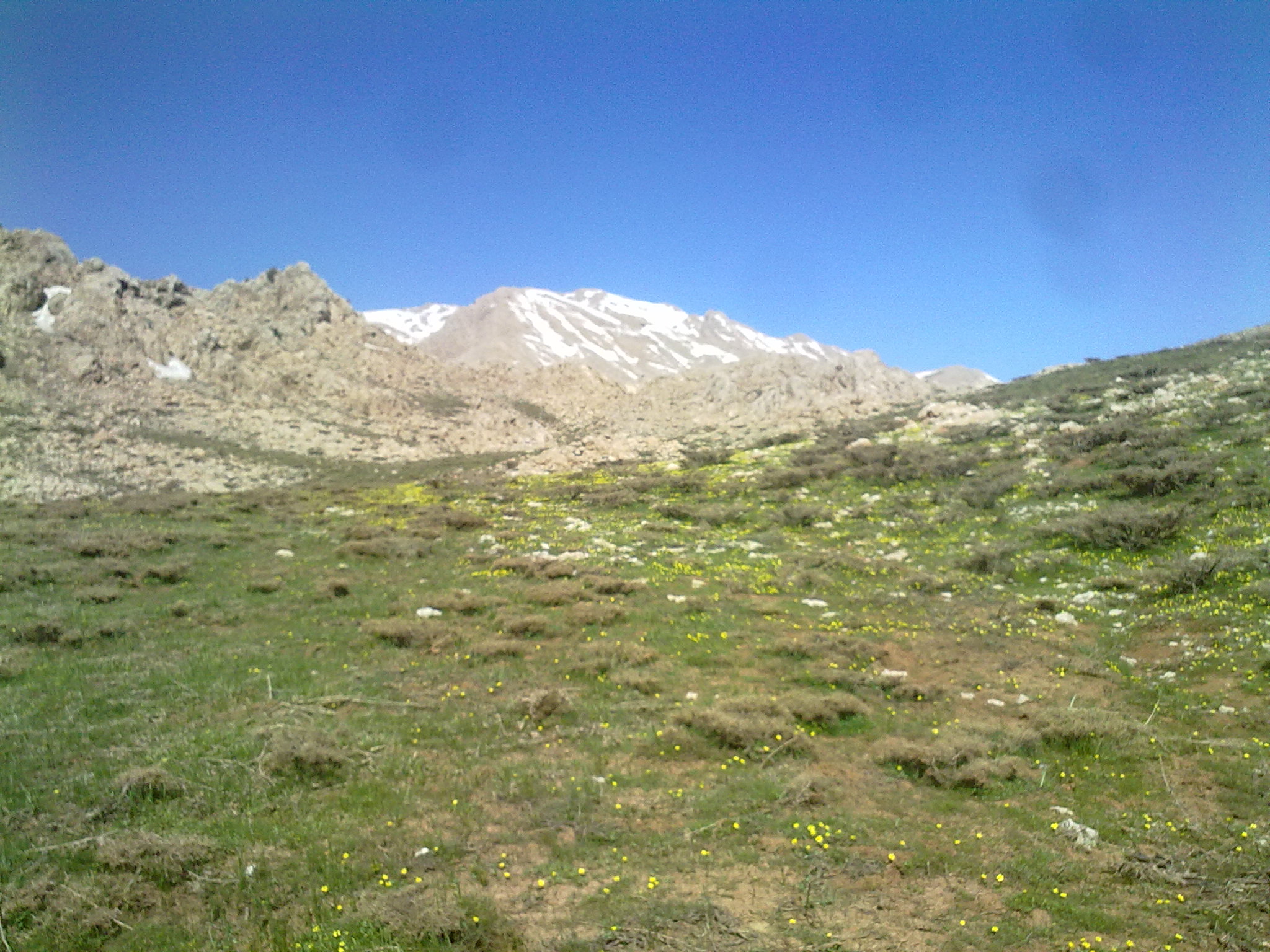 قوره دشت  by aslani