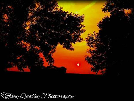 11908089_10207730509007220_322639319_n.jpg - 