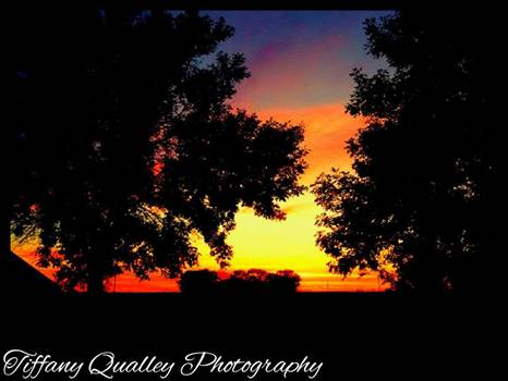 11997425_10207878497866849_954073270_n.jpg - 