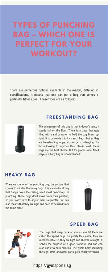 Types of Punching Bag – Which One is perfect for Your Workout.png by Gymsportz