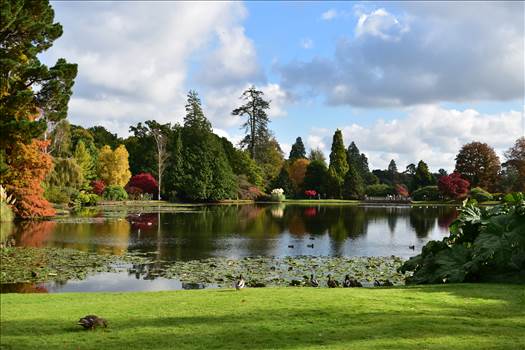 Sheff Pk 117 DSC_0330.JPG - undefined