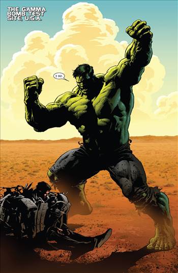 Hulk_vs_Iron_Man_004.jpg - 