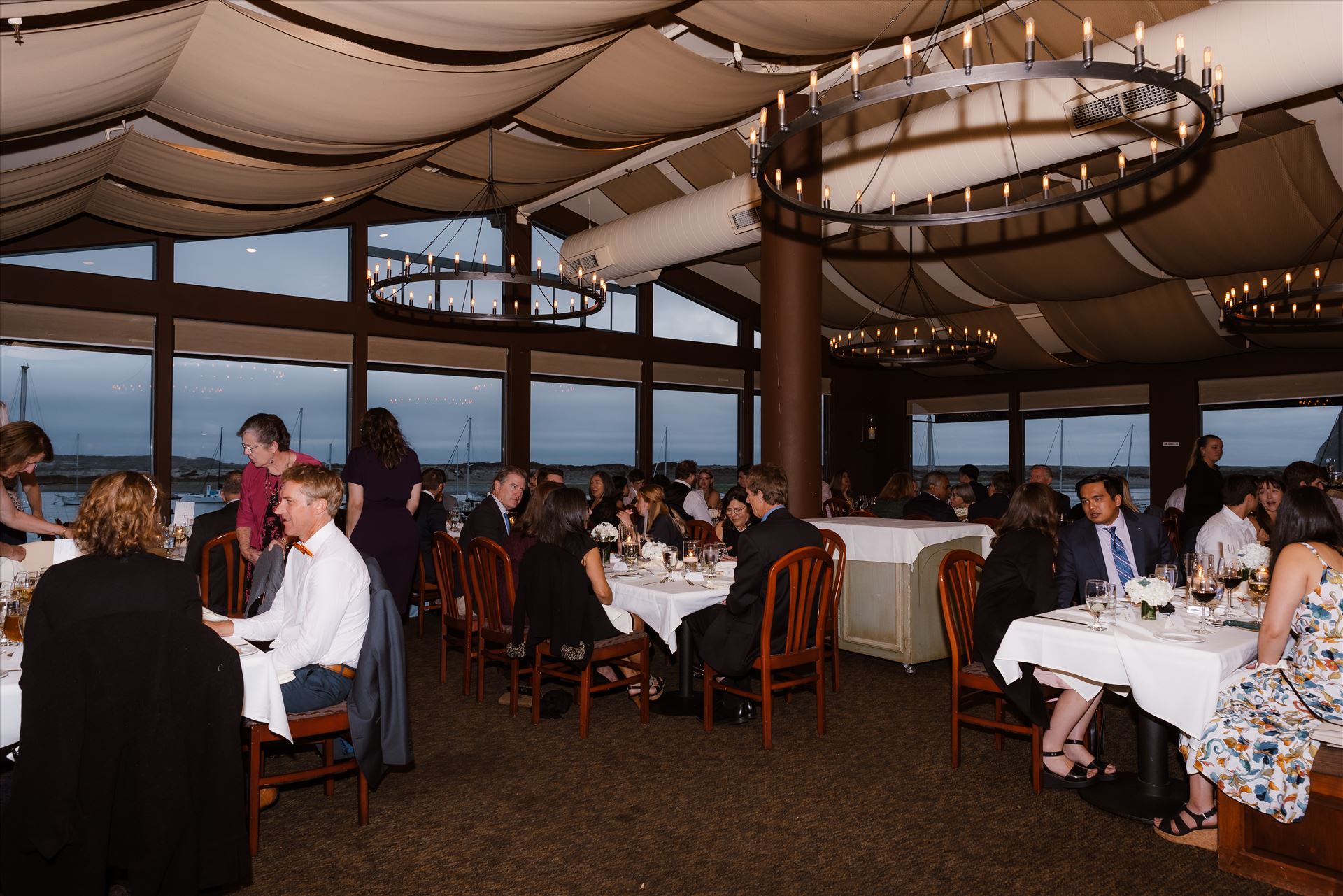 Final-7954.jpg  by Sarah Williams