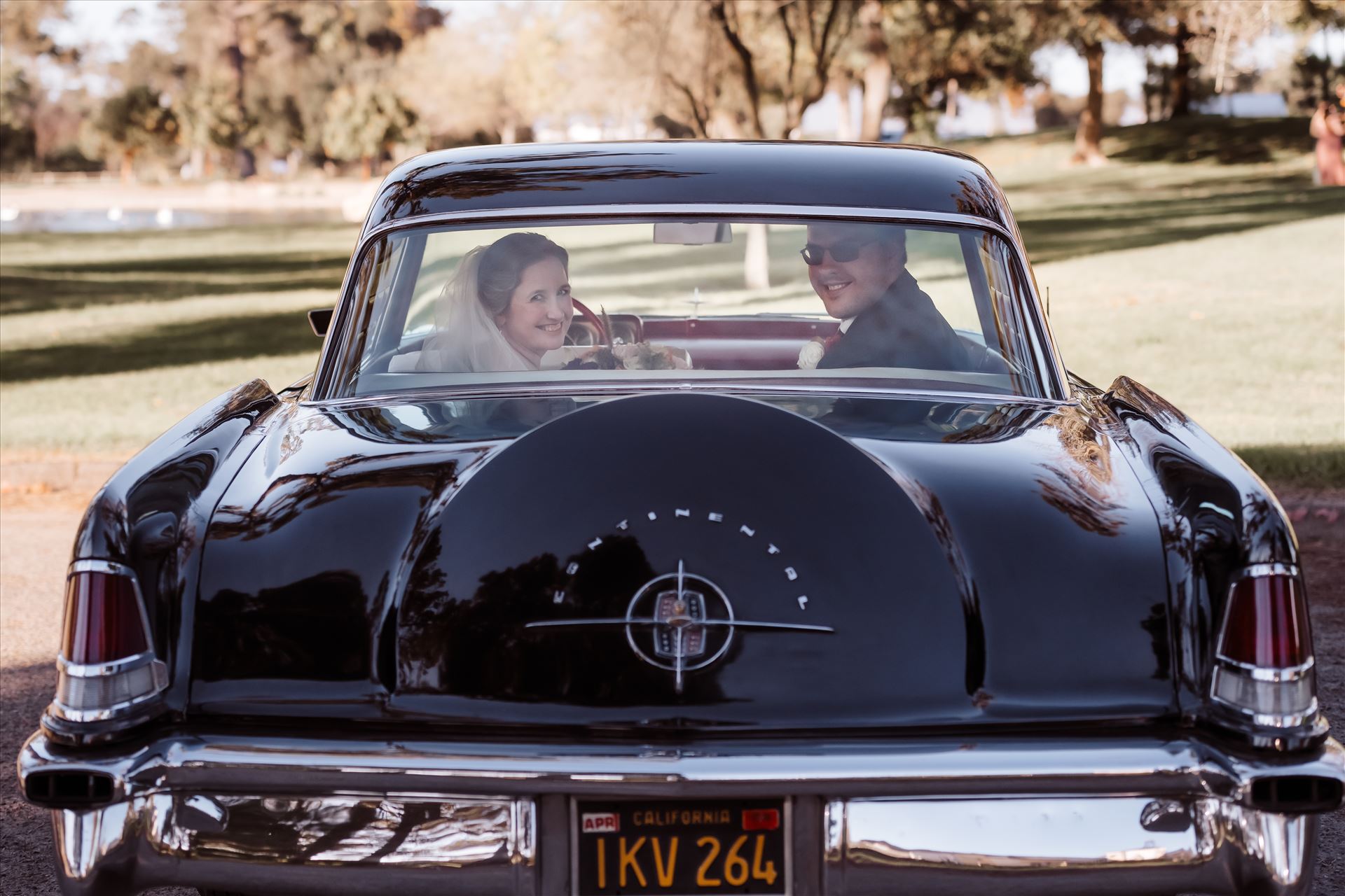 BG Final-1860.jpg  by Sarah Williams