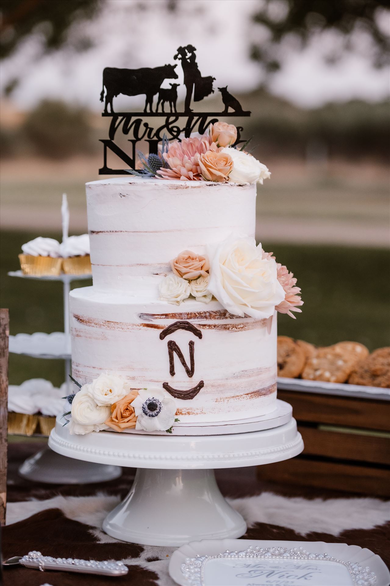 Final-1645.jpg  by Sarah Williams