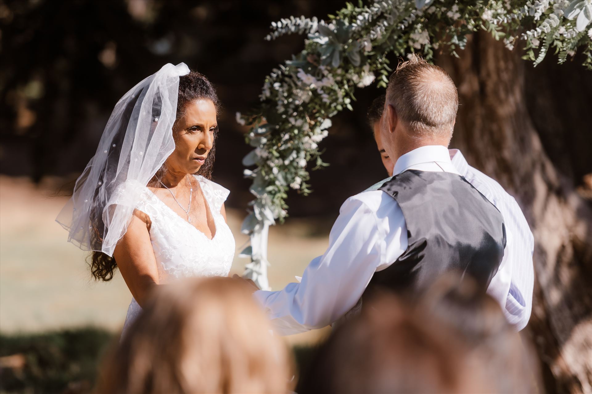 Final-5109.jpg  by Sarah Williams