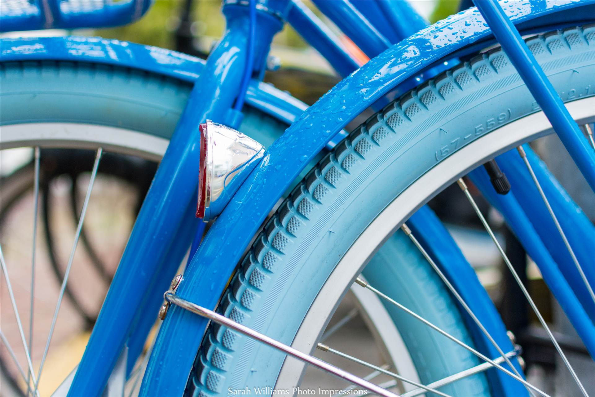 Rainy Blue Bike.jpg undefined by Sarah Williams