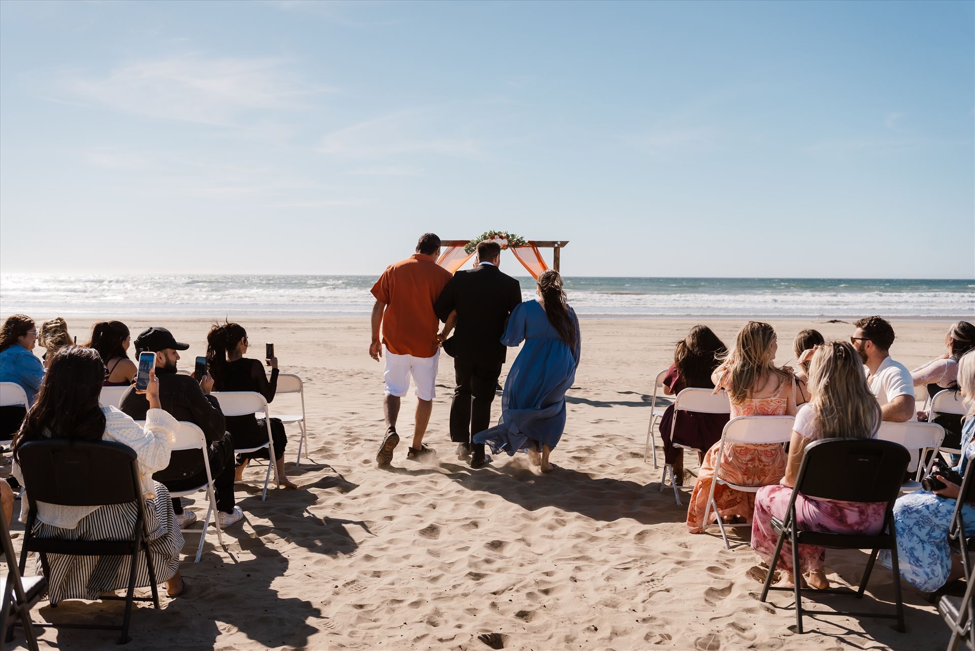 Final-9651.jpg  by Sarah Williams