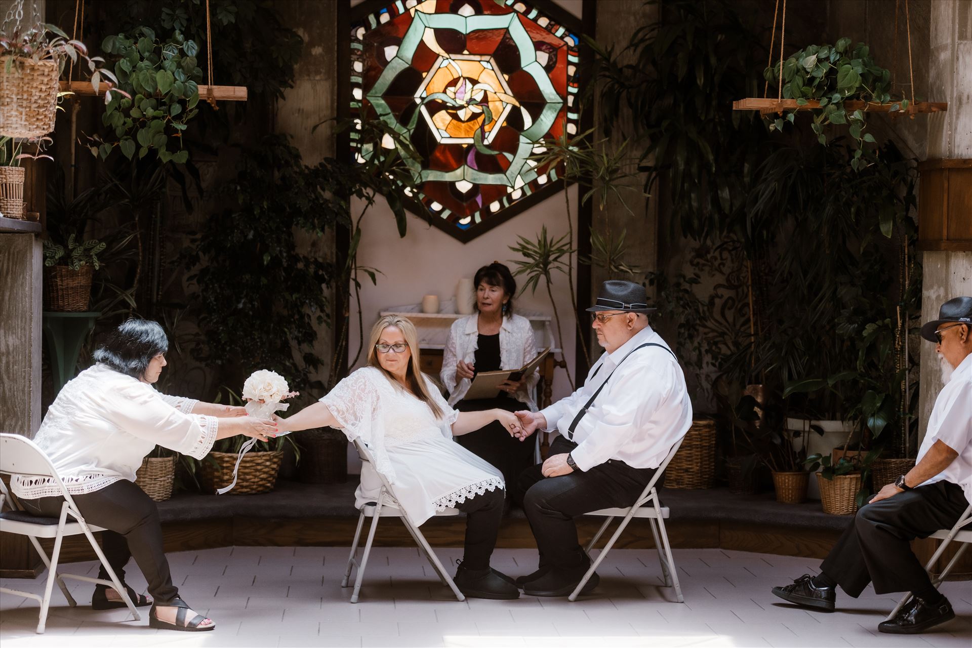 Final-8589.jpg  by Sarah Williams