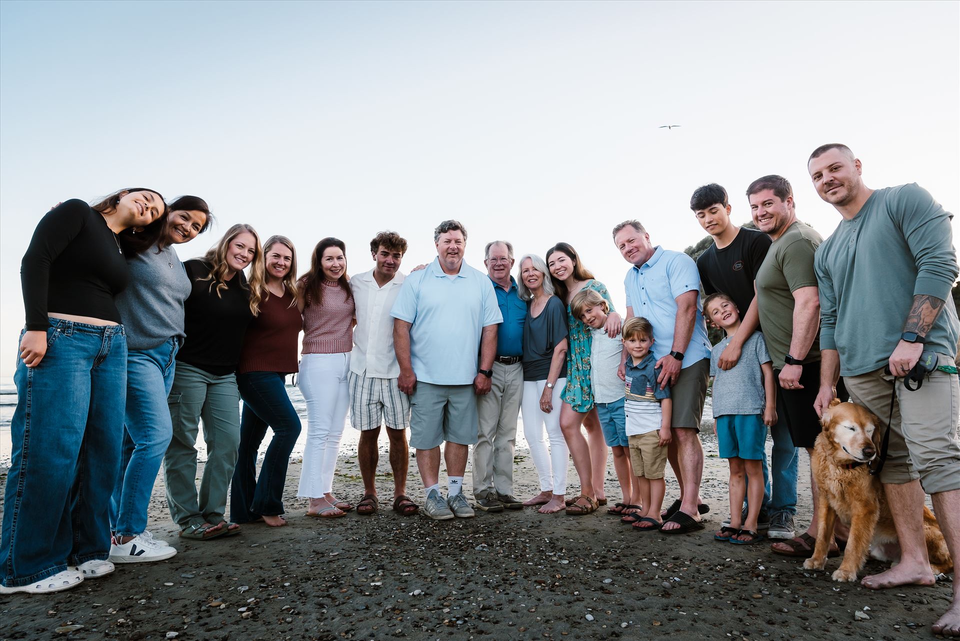 Final--5.jpg  by Sarah Williams