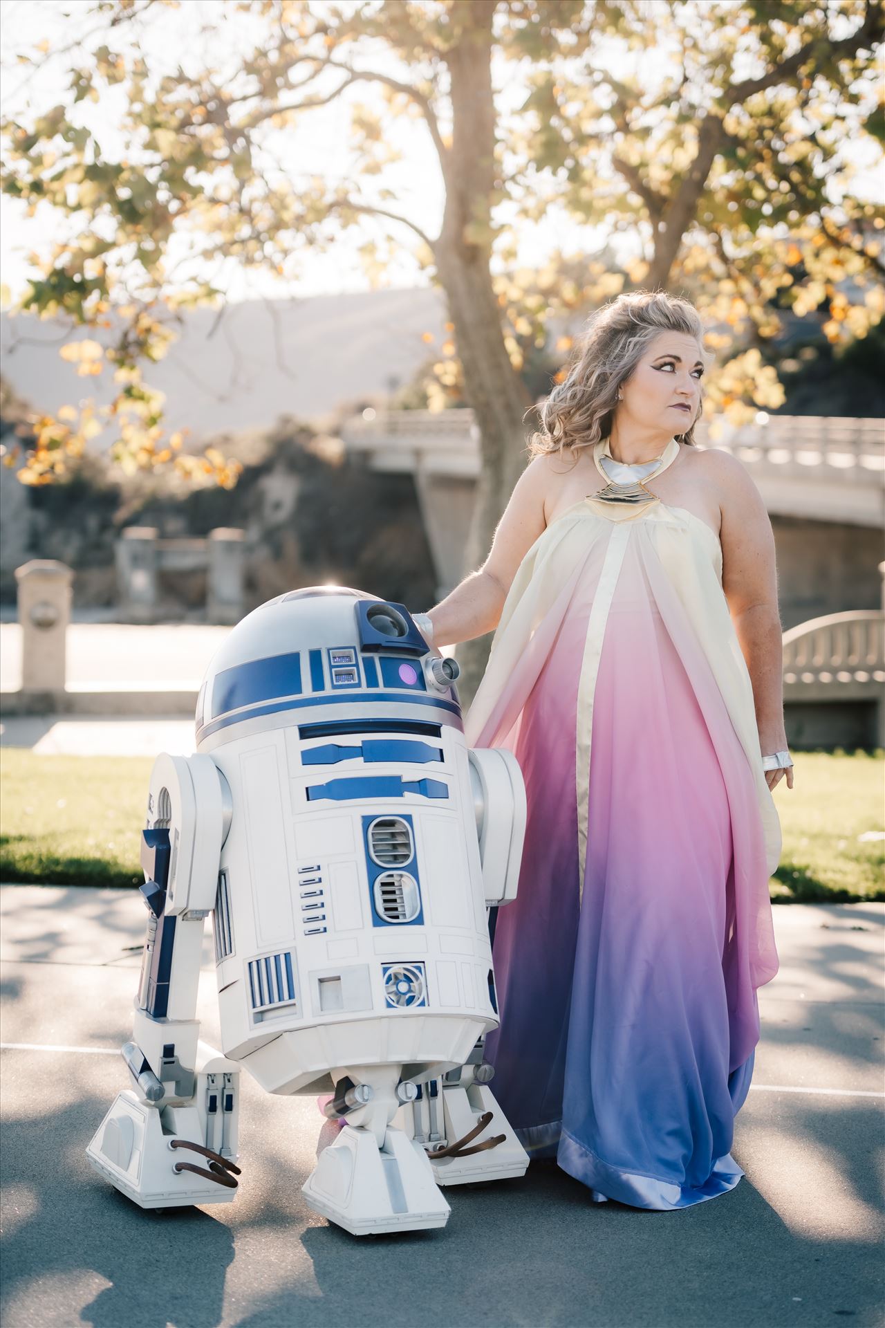 Final-8148.jpg  by Sarah Williams