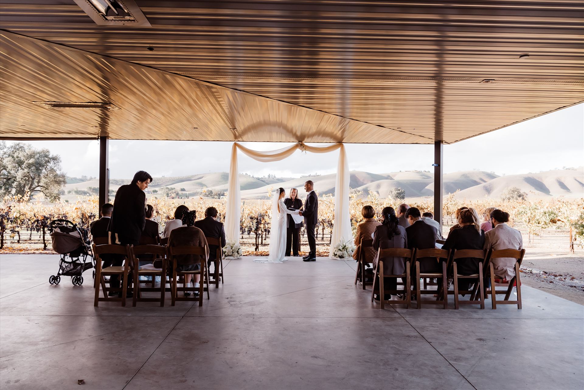 Final-9123.jpg  by Sarah Williams