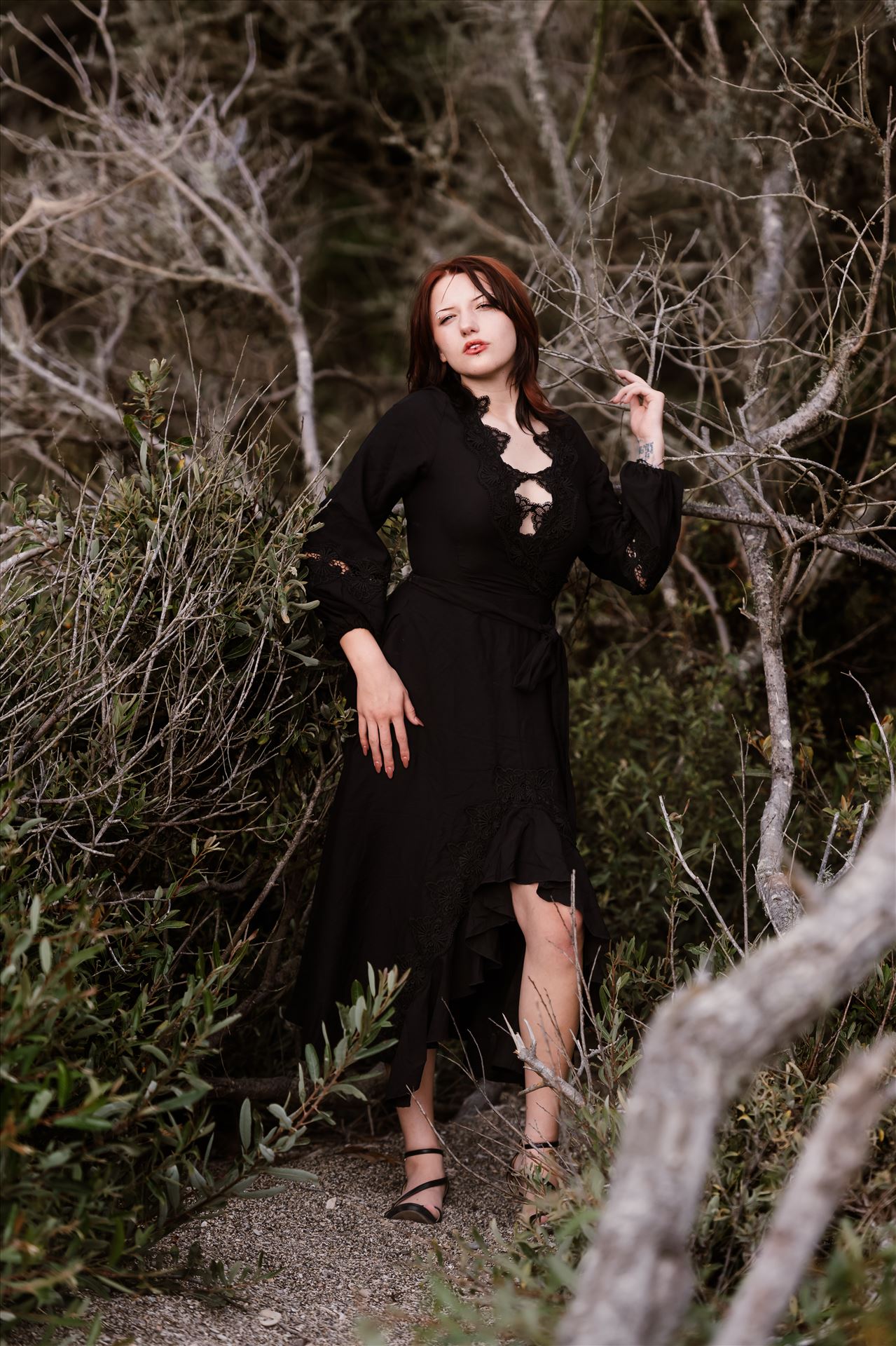 Final 1--14.jpg  by Sarah Williams