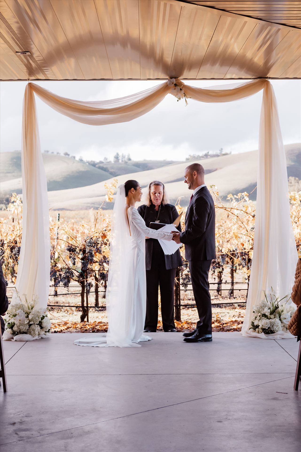 Final-9141.jpg  by Sarah Williams