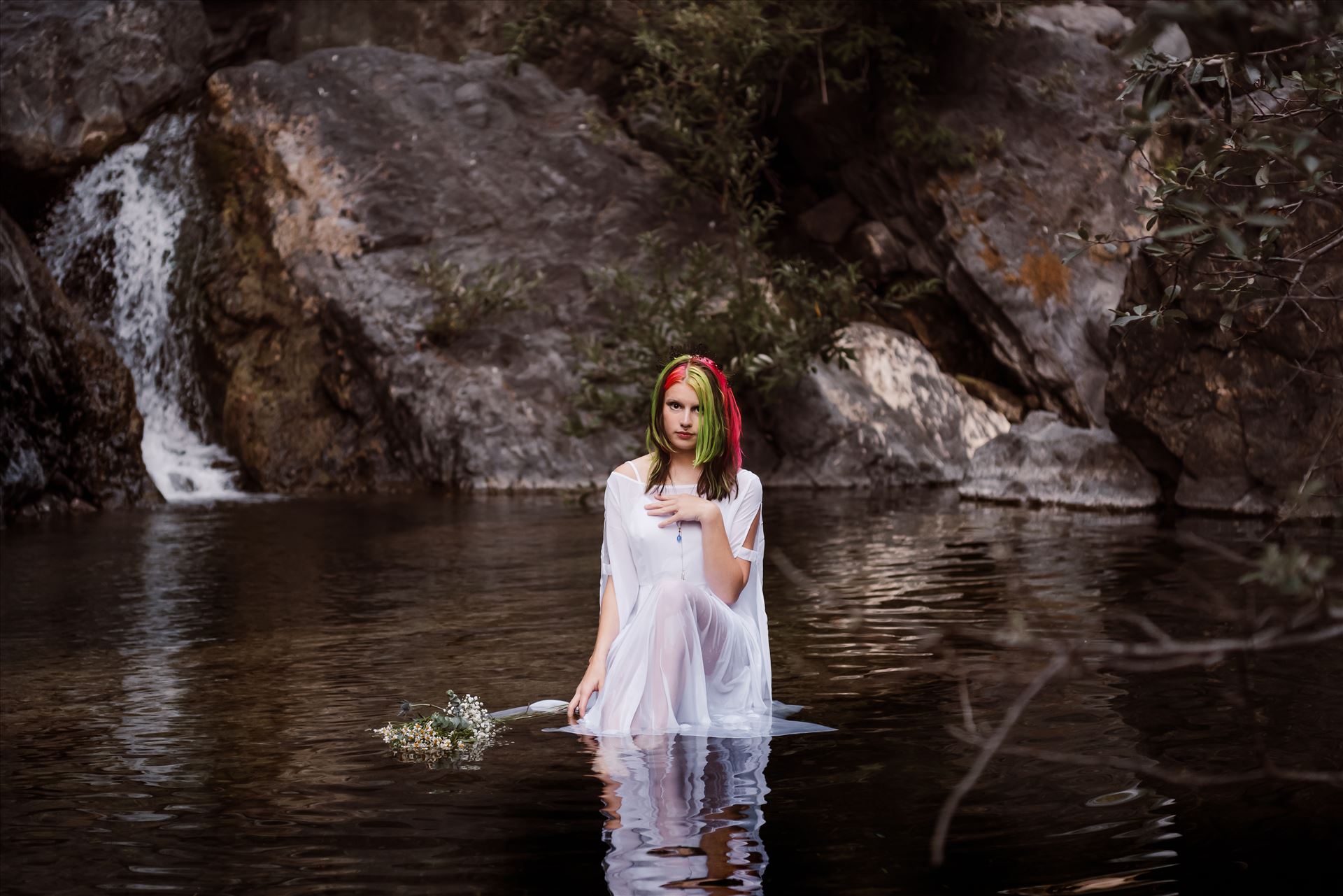 Final--22.jpg  by Sarah Williams