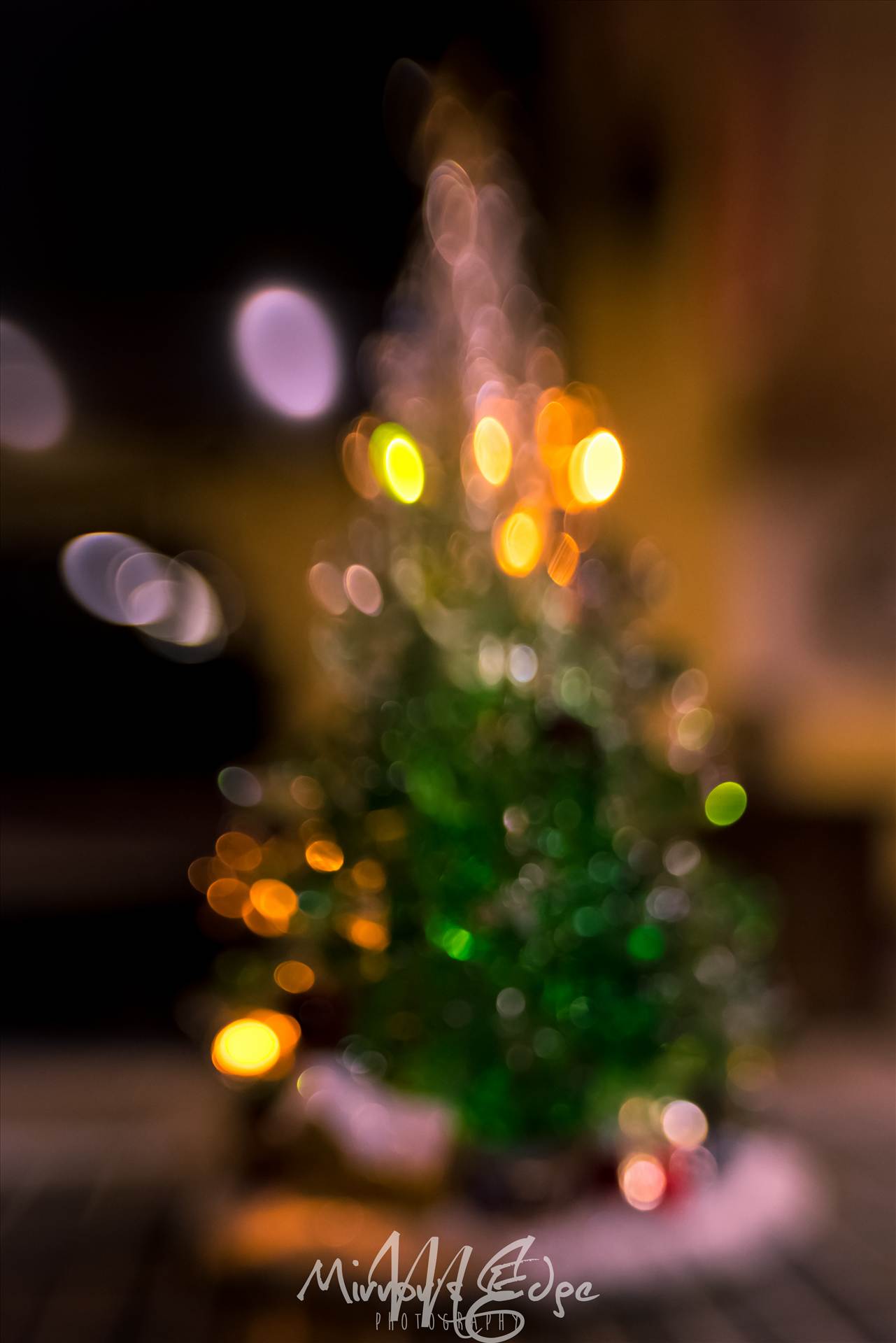 Bokeh Christmas Tree.jpg undefined by Sarah Williams