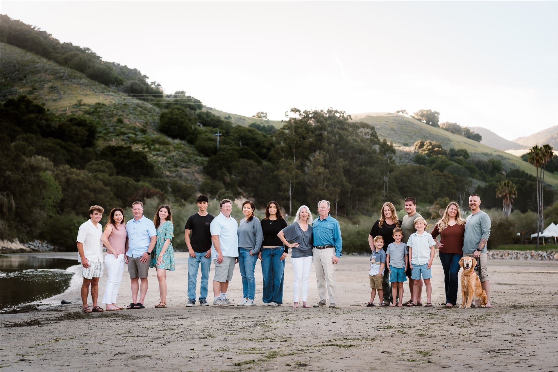 Final--10.jpg  by Sarah Williams